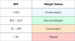 How to lose weight with a BMI Calculator