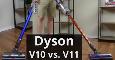 How Did The Biophilic Dyson V10 Compare To The Comforting Dyson V11